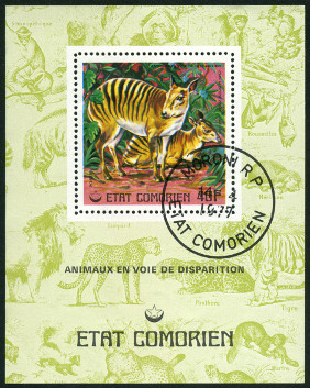 Timbre Comores (Archipel des) Y&T N177-BF