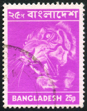 Timbre Bangladesh Y&T N32