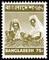 Timbre Bangladesh Y&T N88