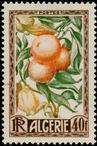 Briefmarken Y&T N281