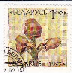 Stamp Y&T N25