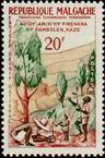 Stamp Y&T N351