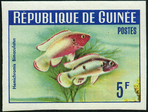 Timbre Guine Y&T N183