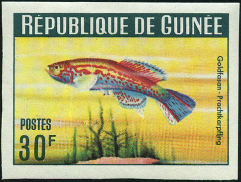 Timbre Guine Y&T N184