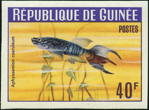 Timbre Guine Y&T N185