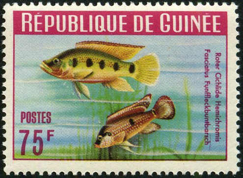 Timbre Guine Y&T N186