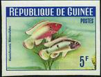 Timbre Guine Y&T N183