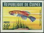 Timbre Guine Y&T N184