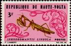 Timbre Y&T N162