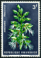 Timbre Y&T N�153
