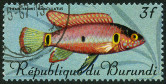 Timbre Y&T N�221