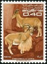 Stamp Y&T N477
