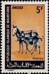 Timbre Y&T N�256