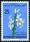 Timbre Y&T N�646