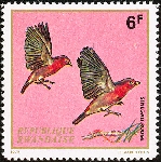 Timbre Y&T N�469