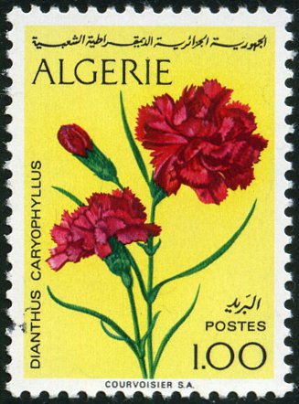 Briefmarken Algeria Y&T N570
