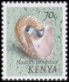 Timbre Y&T N�50