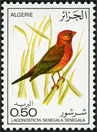 Stamp Y&T N635