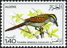 Stamp Y&T N636