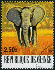 Timbre Guine Y&T N612