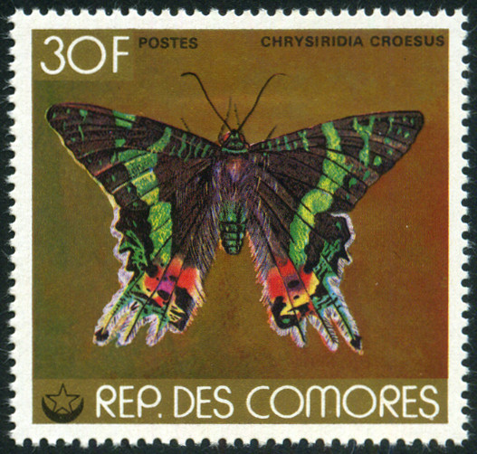 Timbre Comores (Archipel des) Y&T N°222 Timbre Comores (Archipel des) Y&T N°222