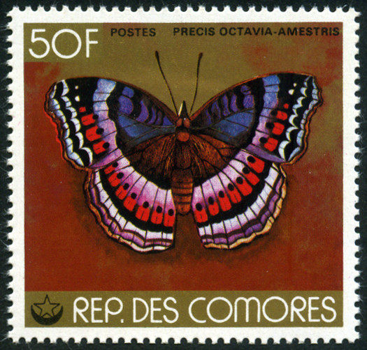 Timbre Comores (Archipel des) Y&T N°223 Timbre Comores (Archipel des) Y&T N°223