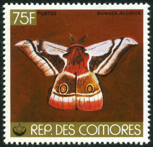 Timbre Comores (Archipel des) Y&T N°224 Timbre Comores (Archipel des) Y&T N°224