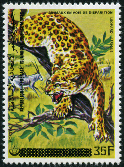 Timbre Comores (Archipel des) Y&T N°299 Timbre Comores (Archipel des) Y&T N°299