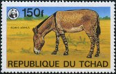 Timbre Y&T N363