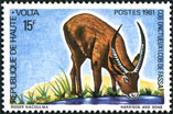 Timbre Y&T N571