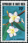 Timbre Y&T N584
