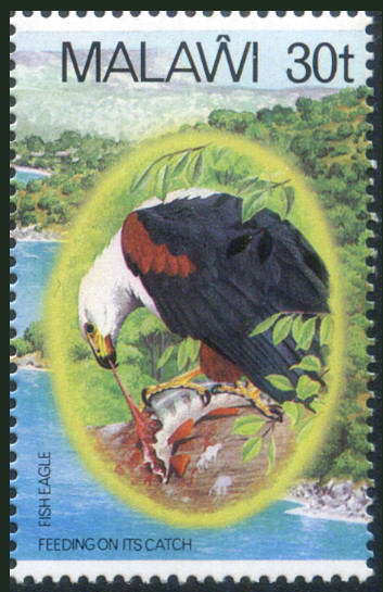 Timbre Malawi Y&T N�404