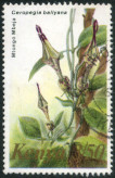 Timbre Y&T N�251