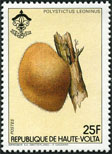 Timbre Y&T N632