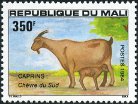 Timbre Y&T N�486