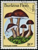 Briefmarken Y&T N680