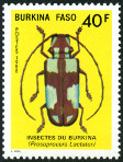 Timbre Y&T N702