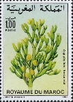 Timbre Y&T N1031