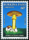 Timbre Y&T N824