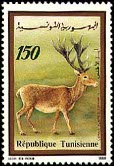 Timbre Y&T N1156