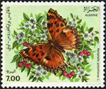 Briefmarken Y&T N1008