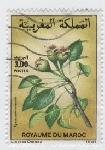 Timbre Y&T N1103