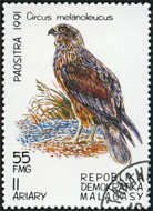 Briefmarken Y&T N1025