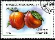 Timbre Y&T N1056