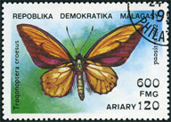 Timbre Y&T N1072