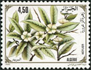 Timbre Y&T N1040