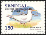 Timbre Y&T N1155
