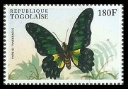 Timbre Togo Y&T N1427
