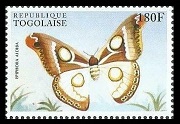 Timbre Togo Y&T N1429