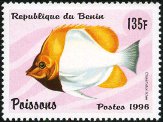 Stamp Y&T N710CC